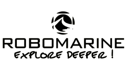 past sponsor